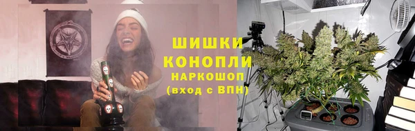Альфа ПВП Верея