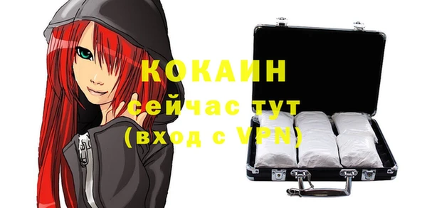 Альфа ПВП Верея
