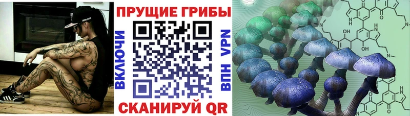 Галлюциногенные грибы Magic Shrooms  Елизаветинская 